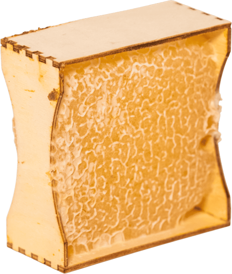 Tunceli Pülümür Karakovan Petek Bal 340-440 gr.